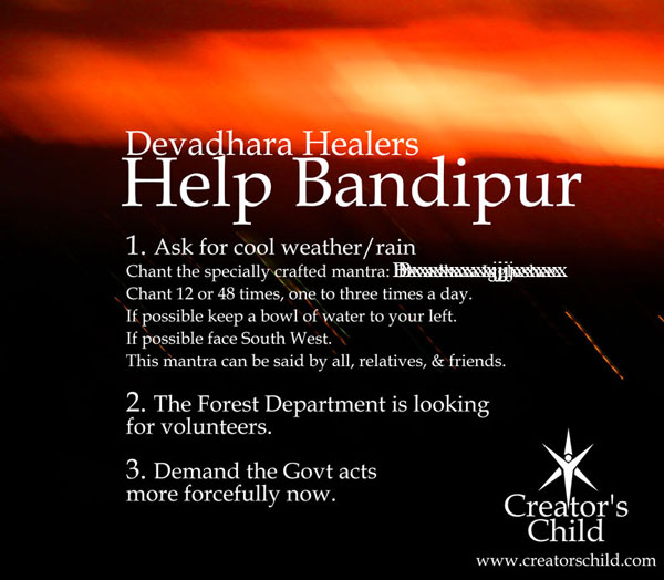 Help Bandipur Plea