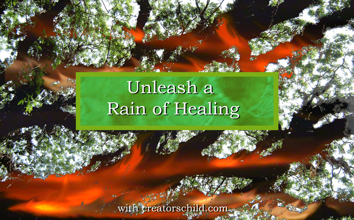 Healing The Brazilian Rain Forests