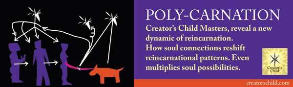 PolyCarnation