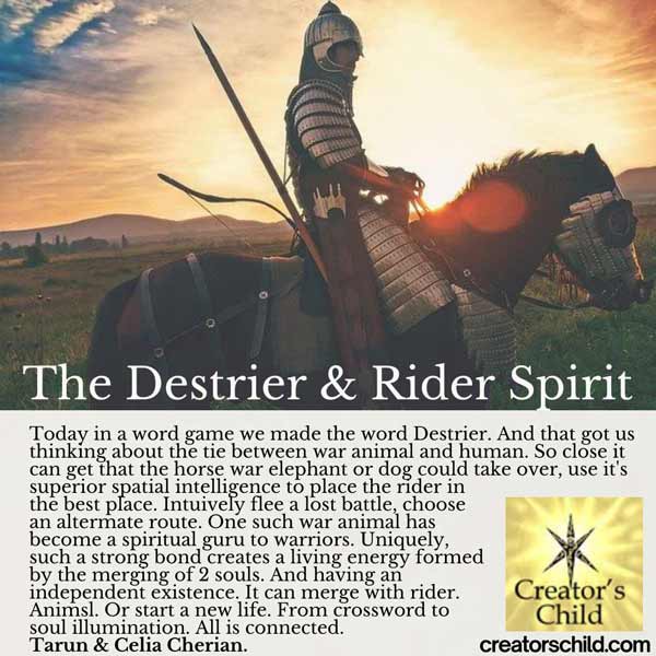 Destrer and Rider Connection