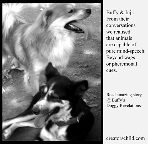 Buffy's Doggy Revelations