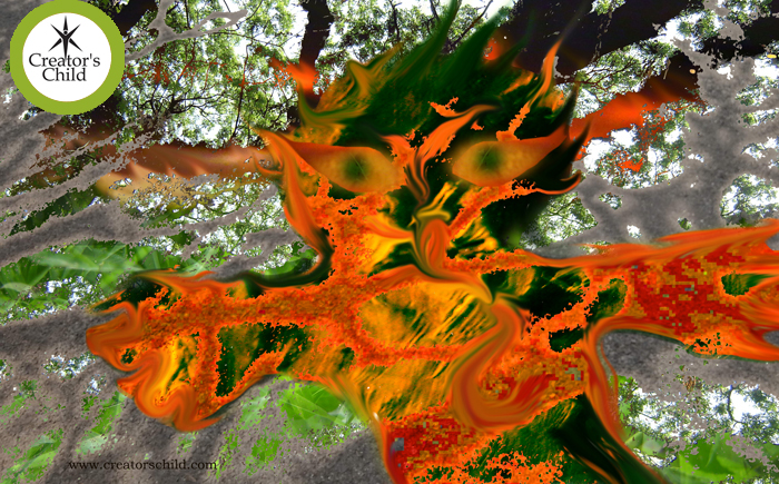 Jurmari Amazonian Devil