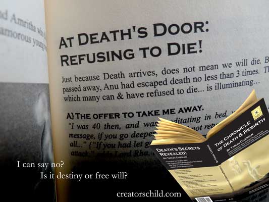 The Chronicle of Death & Rebirth