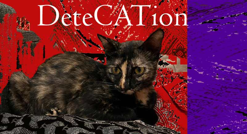 Searching for The Lost