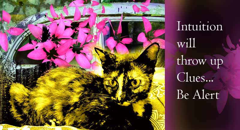 Intuition and The Lost