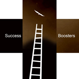 success ladder