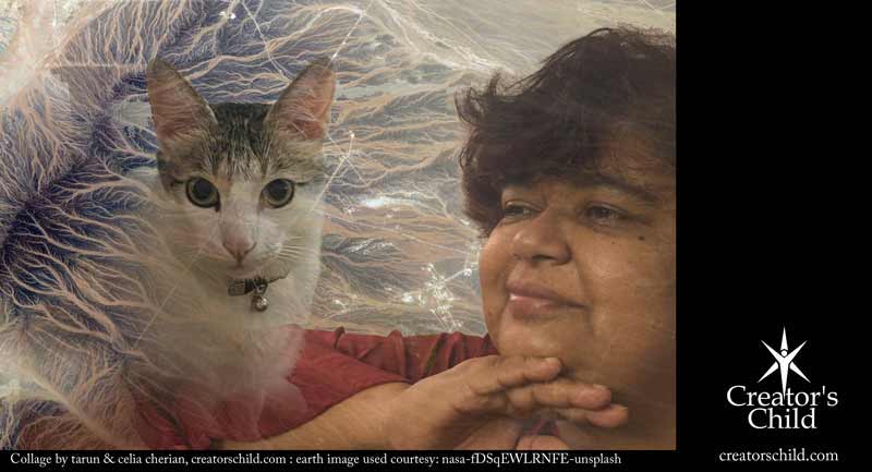 Cat Found with Intuition