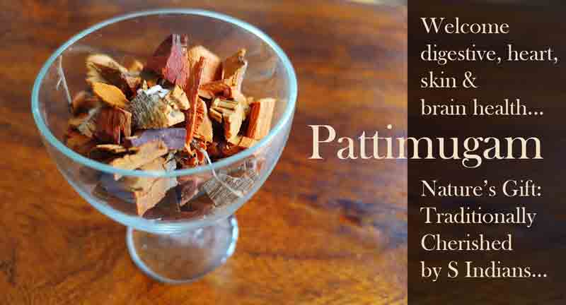 Pattimugam explained by Tarun & Celia Cherian