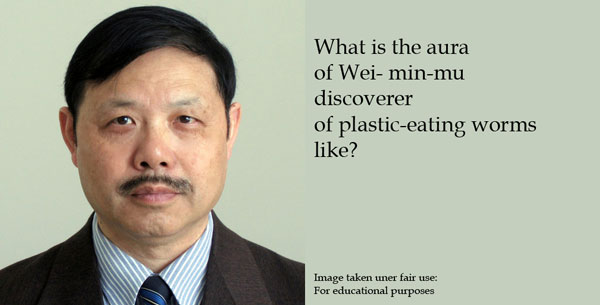 Wei min wu aura